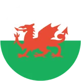 Wales National Football
